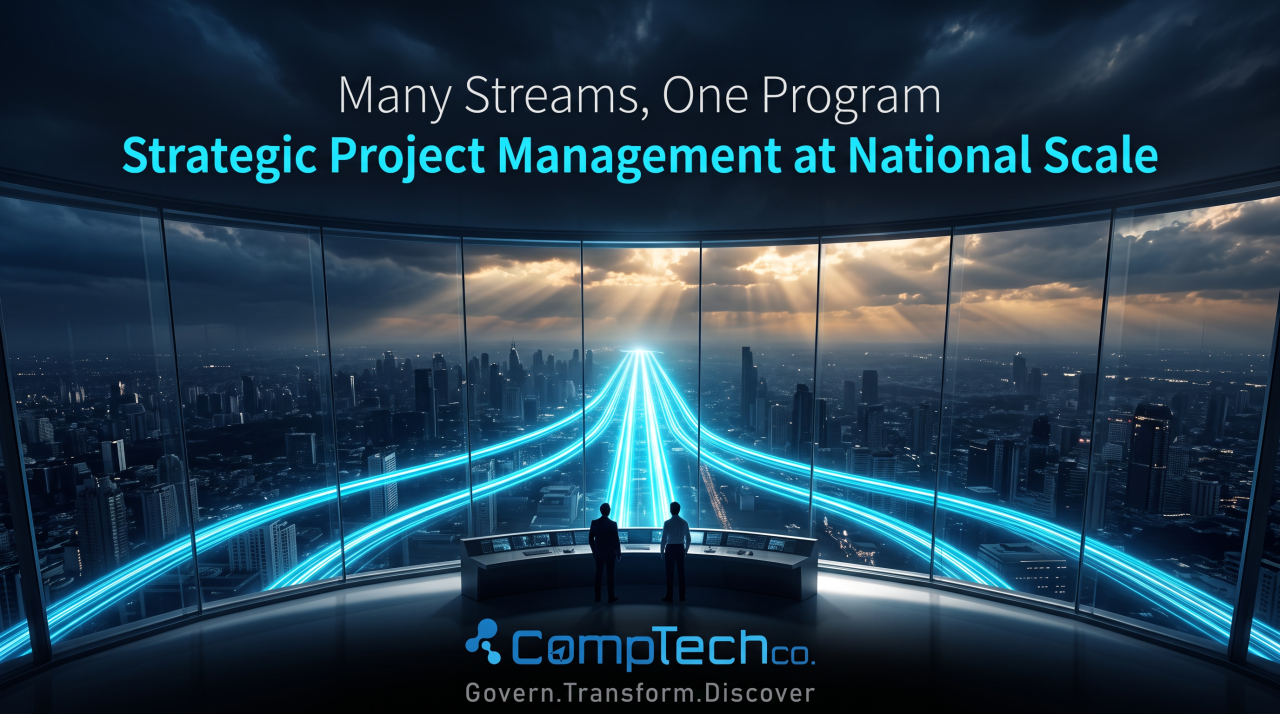 Strategic Project Management in Government Digital Transformation Programs
