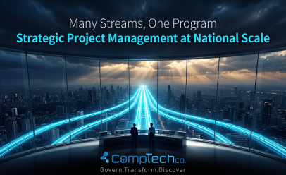 Strategic Project Management in Government Digital Transformation Programs