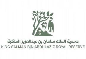  King Salman Bin Abdulaziz Royal Reserve Development Authority