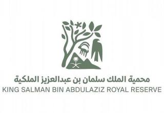  King Salman Bin Abdulaziz Royal Reserve Development Authority